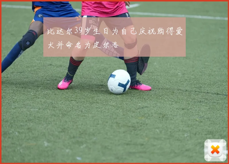 比达尔39岁生日为自己庆祝购得爱犬并命名为皮尔洛