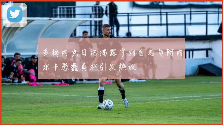 多梅内克日记揭露亨利自恋与阿内尔卡愚蠢真相引发热议