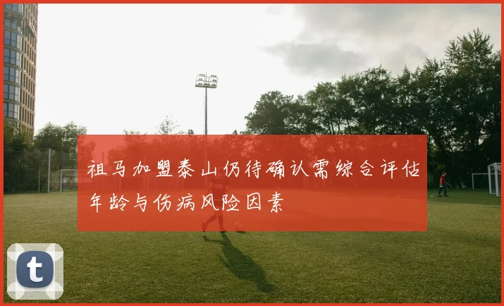 祖马加盟泰山仍待确认需综合评估年龄与伤病风险因素