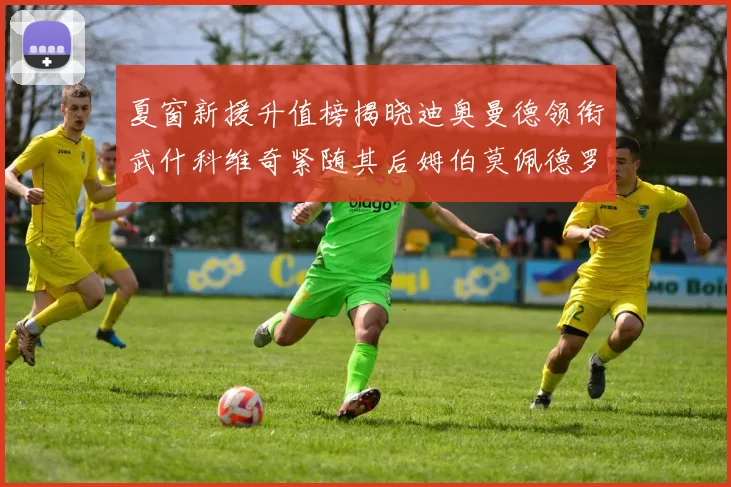 夏窗新援升值榜揭晓迪奥曼德领衔武什科维奇紧随其后姆伯莫佩德罗表现抢眼