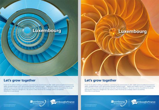 LFF and LFB Print Ad Draft