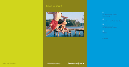 Unreleased PWC brochure