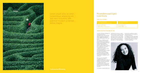 Unreleased PWC brochure