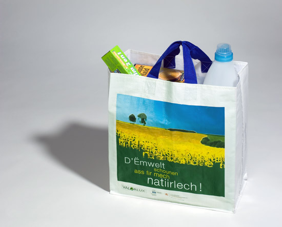 The Shopping bag Design