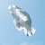 Bird landing, New Zealand | ©