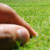 Lying on the grass in Napier, New Zealand | ©
